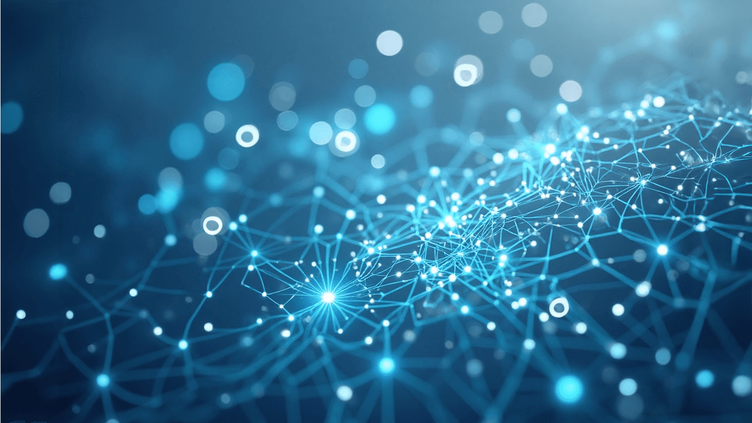 Neural Network